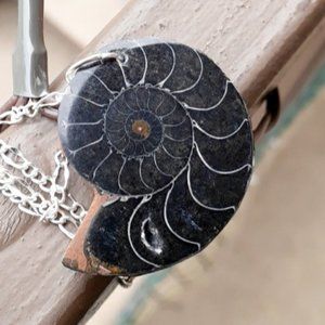 Hand Drilled Ammonite Fossil Necklace